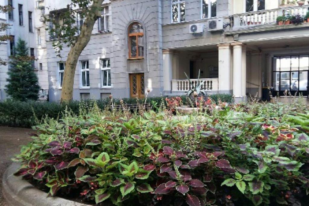 Gorgeous Flat Right Near The City Center Budapest Eksteriør bilde